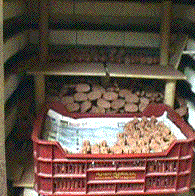 Making of a santon of Provence