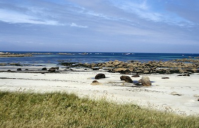 roscoff