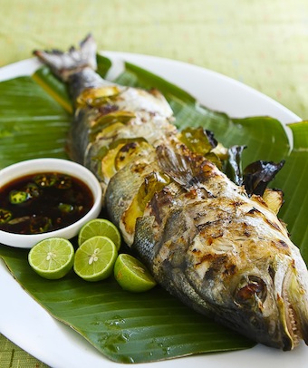 fish