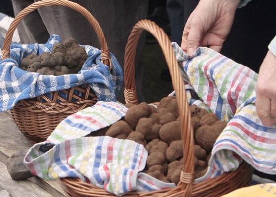 truffes