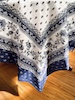 blue and white coated tablecloth