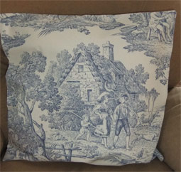 blue toile pillows